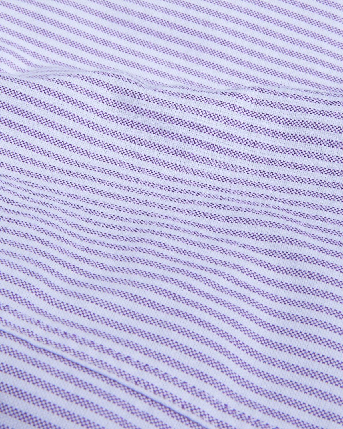 Stripe Oxford LS - Purple - Image 5